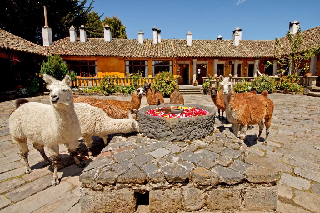 Hacienda San Agustin De Callo Lasso Exteriör bild