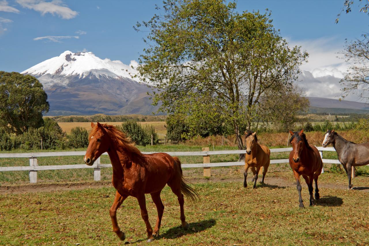 Hacienda San Agustin De Callo Lasso Exteriör bild